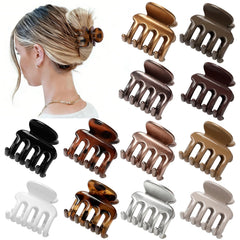 Sisiaipu twelve-color set presented in gift-ready arrangement for easy gifting