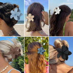 Sisiaipu six-color arrangement displaying variety for outfit matching benefit
