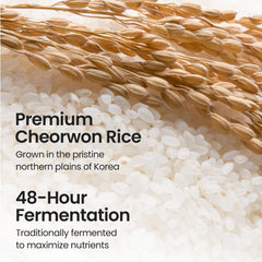 SKINFOOD 1957 ingredient label close-up showing rice derivatives for brightening benefit