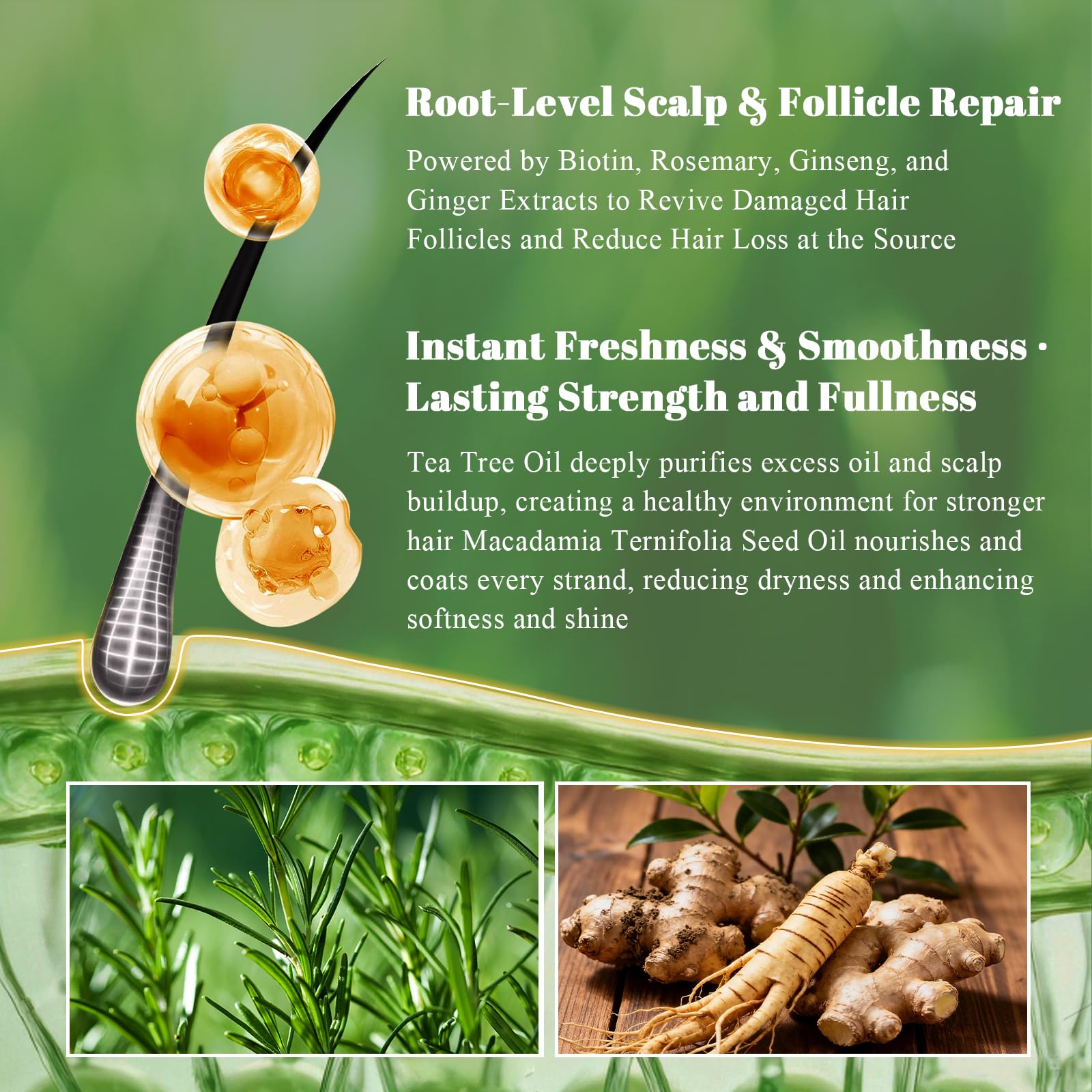 SKUPHI rosemary extract close-up emphasizing botanical scalp-refresh benefit