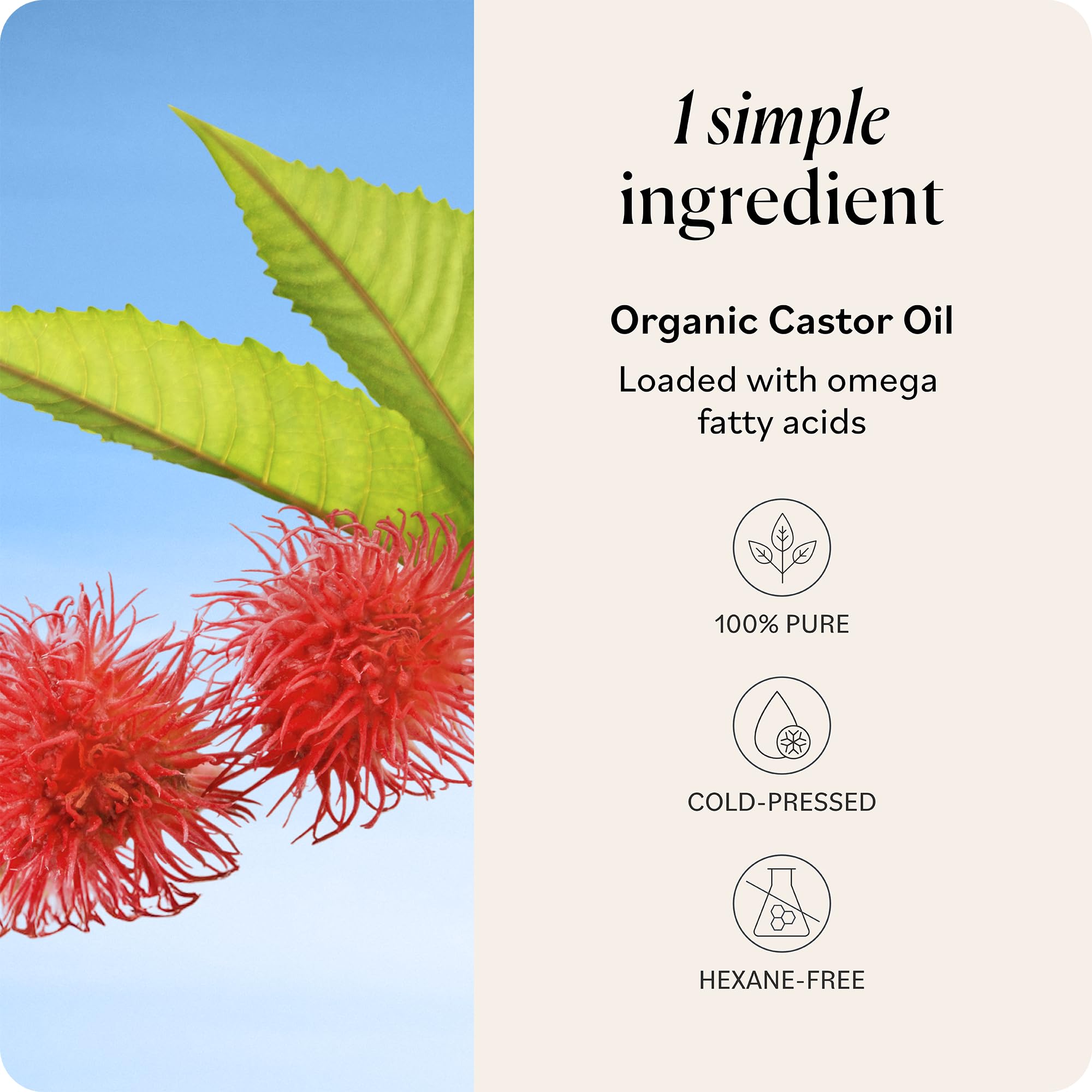 Sky Organics applied to scalp demonstrating targeted nourishment and easy massage