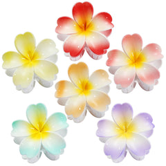 SMKSL front packaging showing six flower clips and clear product view for easy selection