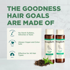 Soapbox ingredient display with mint and tea tree, natural extracts for balancing