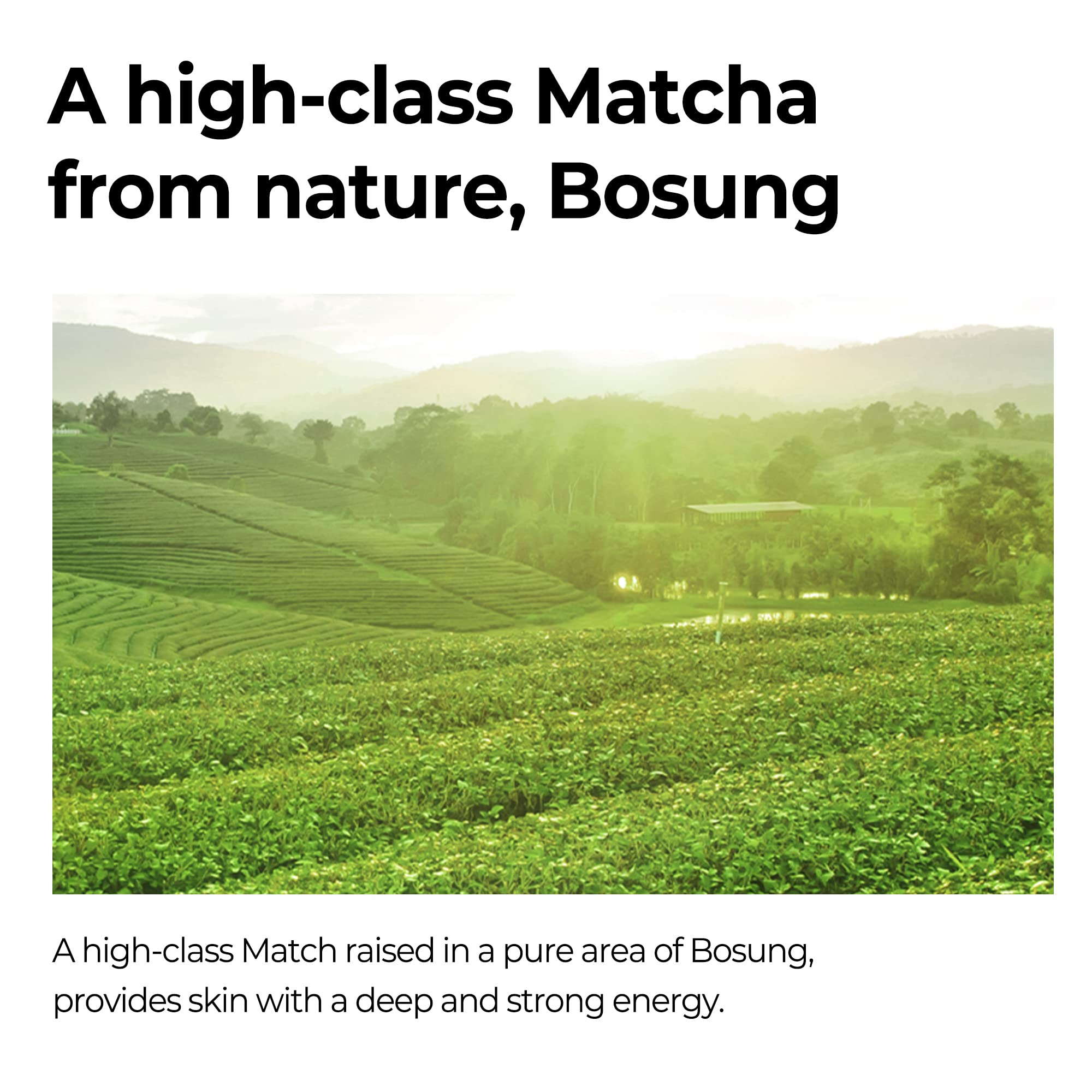 SOME BY MI bottle beside matcha leaves emphasizing natural actives
