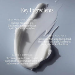 Summer Fridays ingredient display with glycerin squalane hyaluronic acid benefits