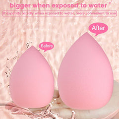 suniya assorted makeup sponges arrayed on pink background benefit versatile application