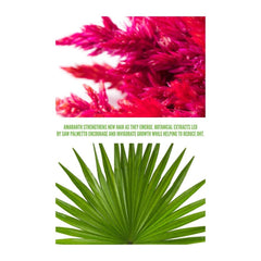 Surface creamy serum texture with amaranth protein aiding hair strength
