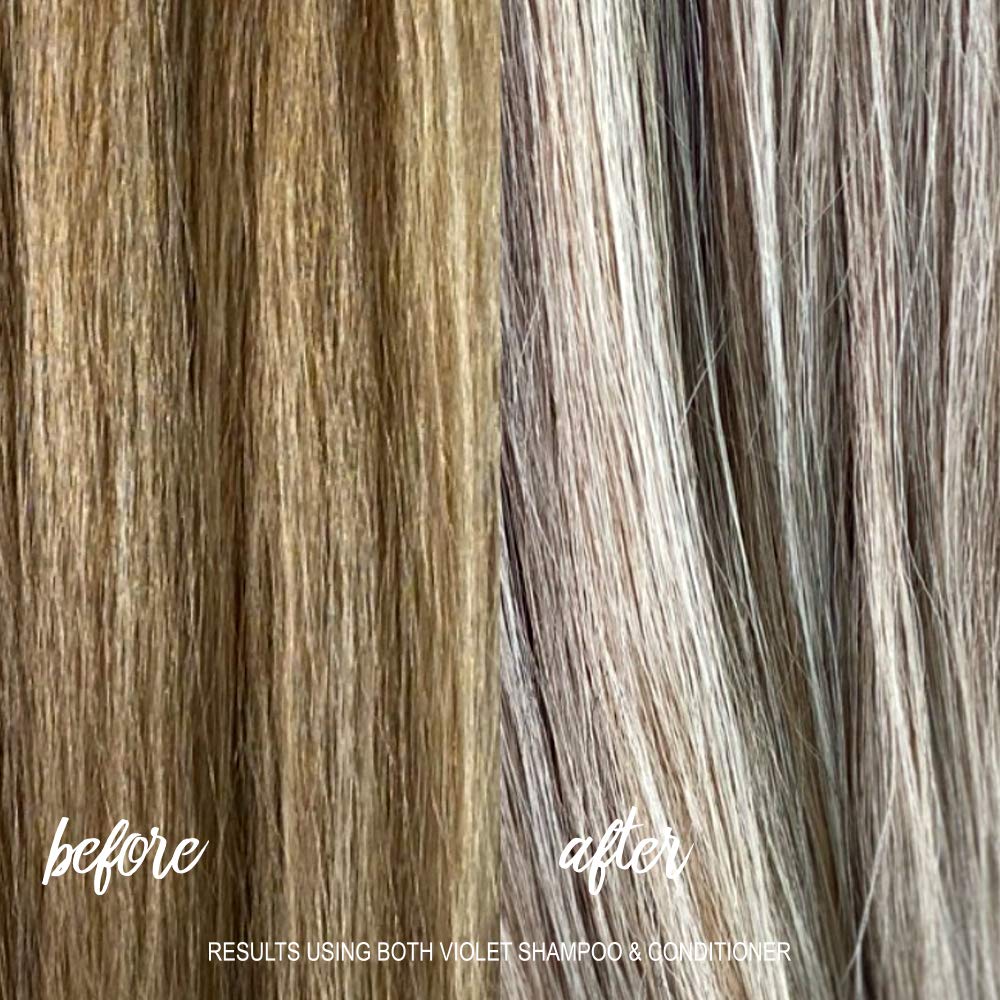 SURFACE maqui berry close-up highlighting natural pigment and antioxidant benefit