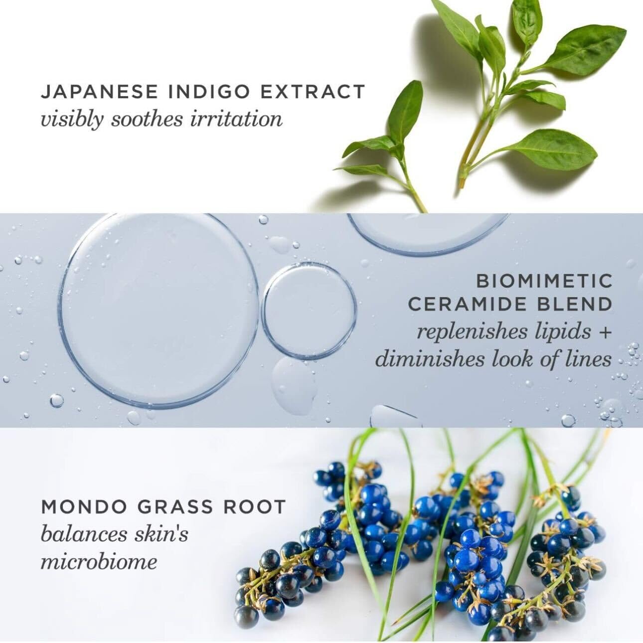 TATCHA jar next to measuring tape indicating 50 ml size benefit