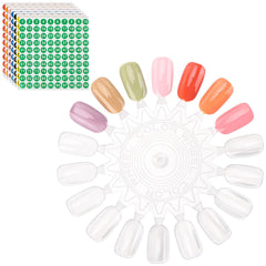 Tbestmax front view of clear round swatches showing kit contents and benefit of organized display