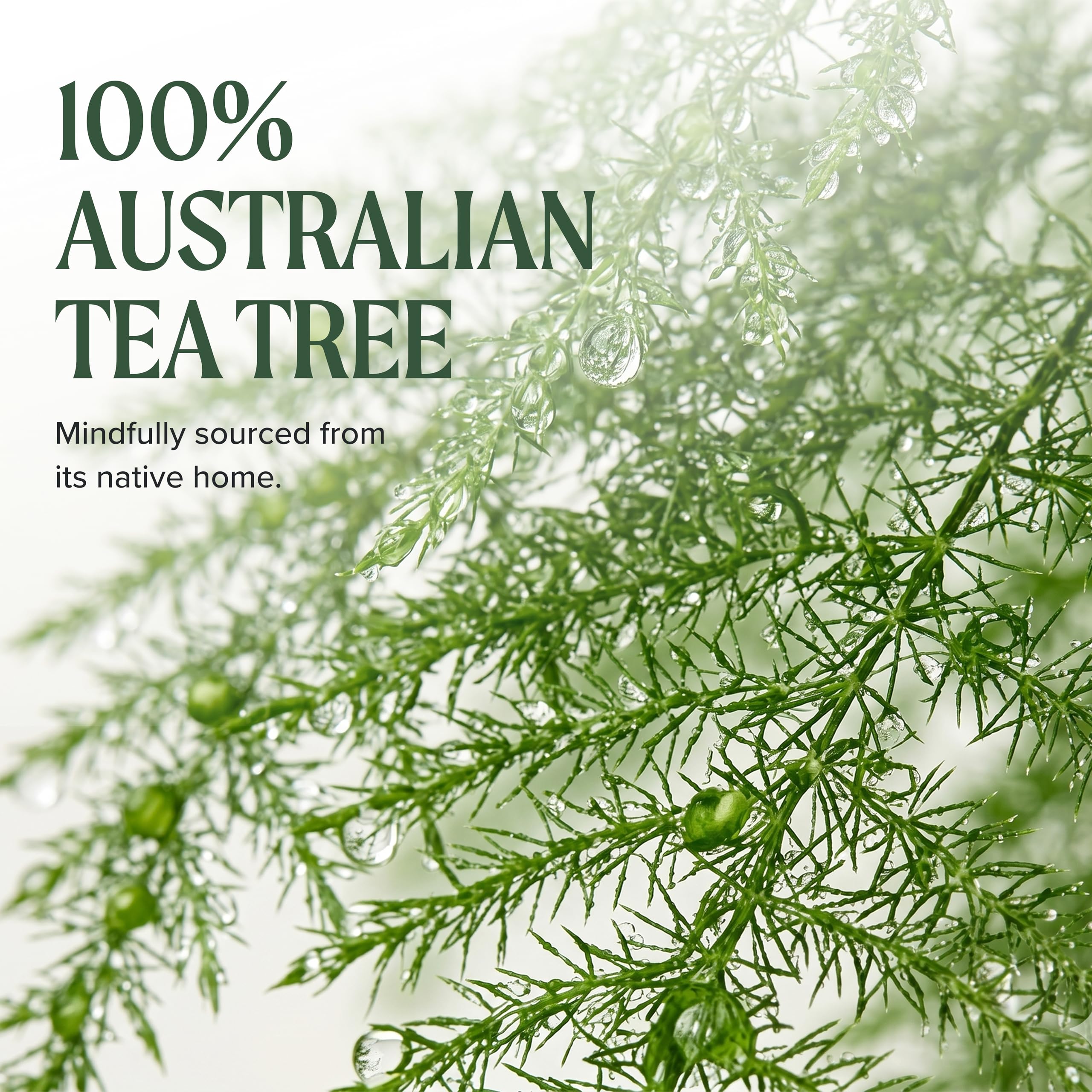 Tea Tree applied to freshly shaved neck to soothe skin and reduce irritation benefit