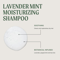 Tea Tree pump dispensing shampoo for precise control and less waste