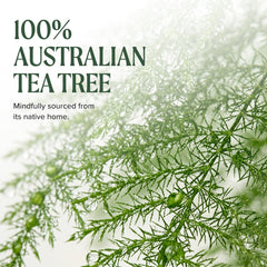 Tea Tree bottle staged in salon environment, professional-quality impression