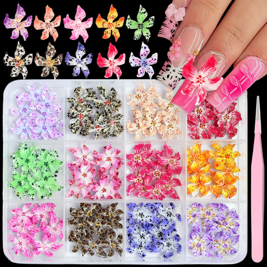 Tephrent front packaging showing 12-grid hibiscus charms for easy selection and storage