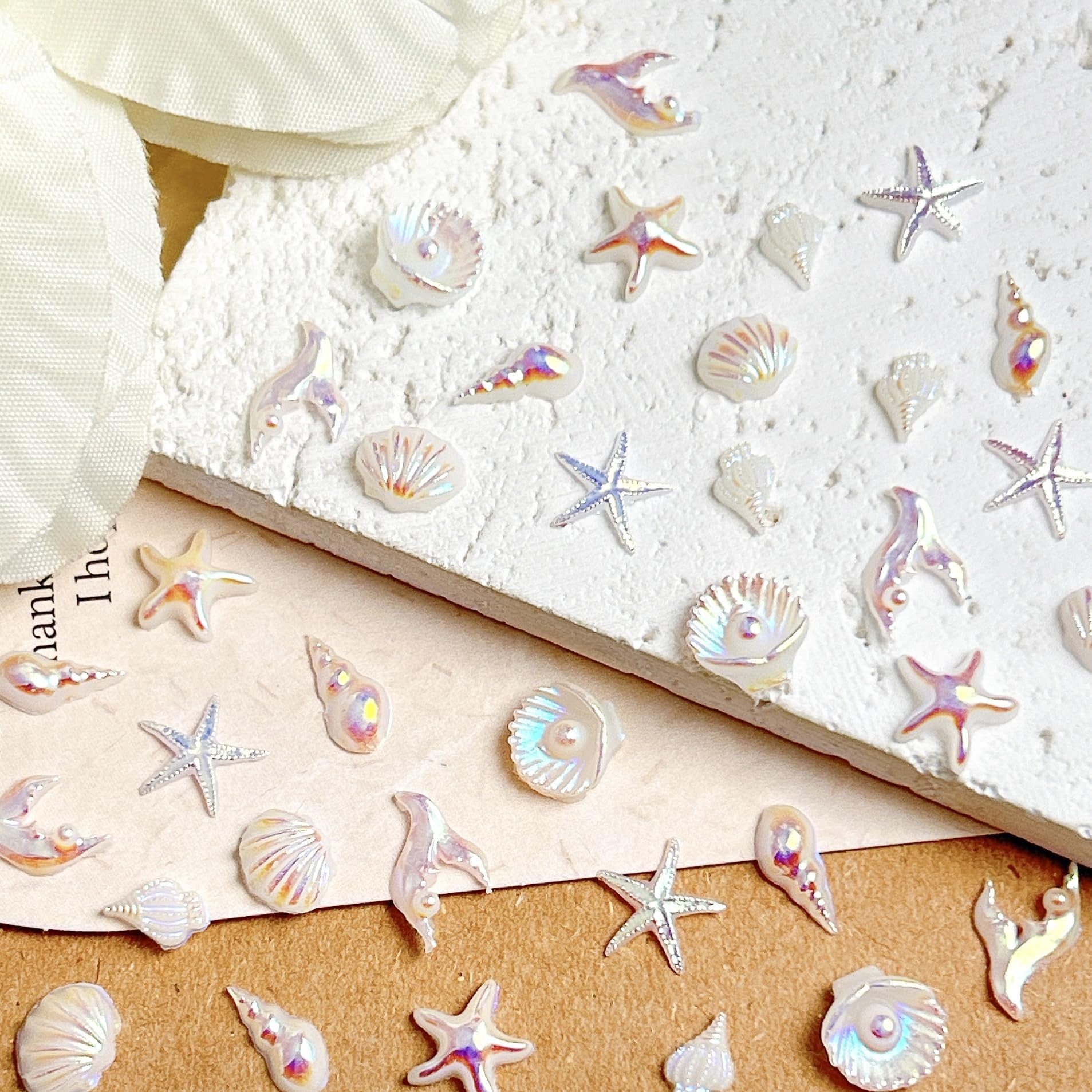 Tephrent starfish and conch arrangement illustrating varied shapes and sizes