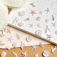 Tephrent starfish and conch arrangement illustrating varied shapes and sizes