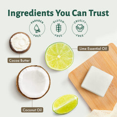 Terra Pure recyclable cardboard packaging open to display zero-waste benefit
