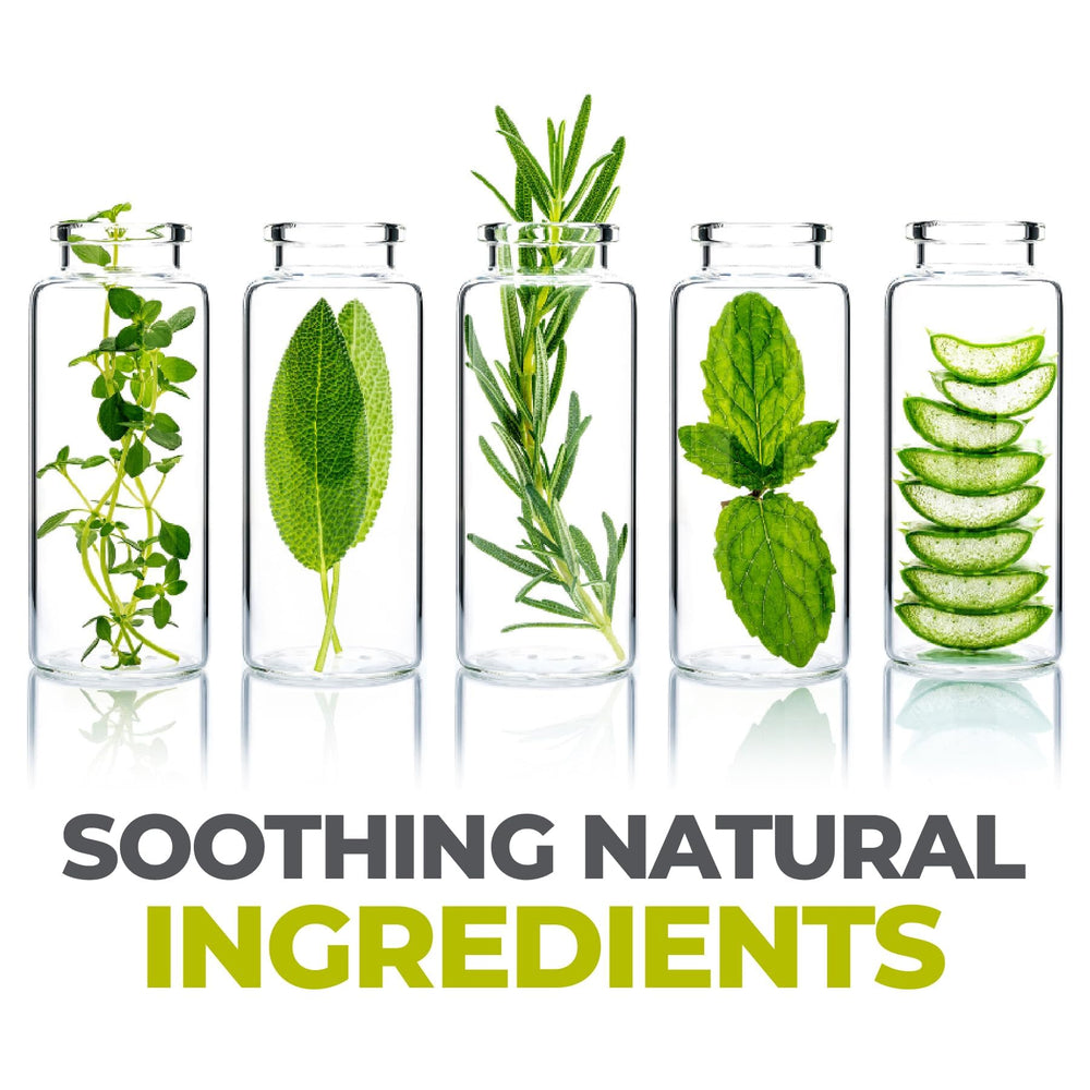 terrasil ingredients flatlay showing natural components for gentle healing