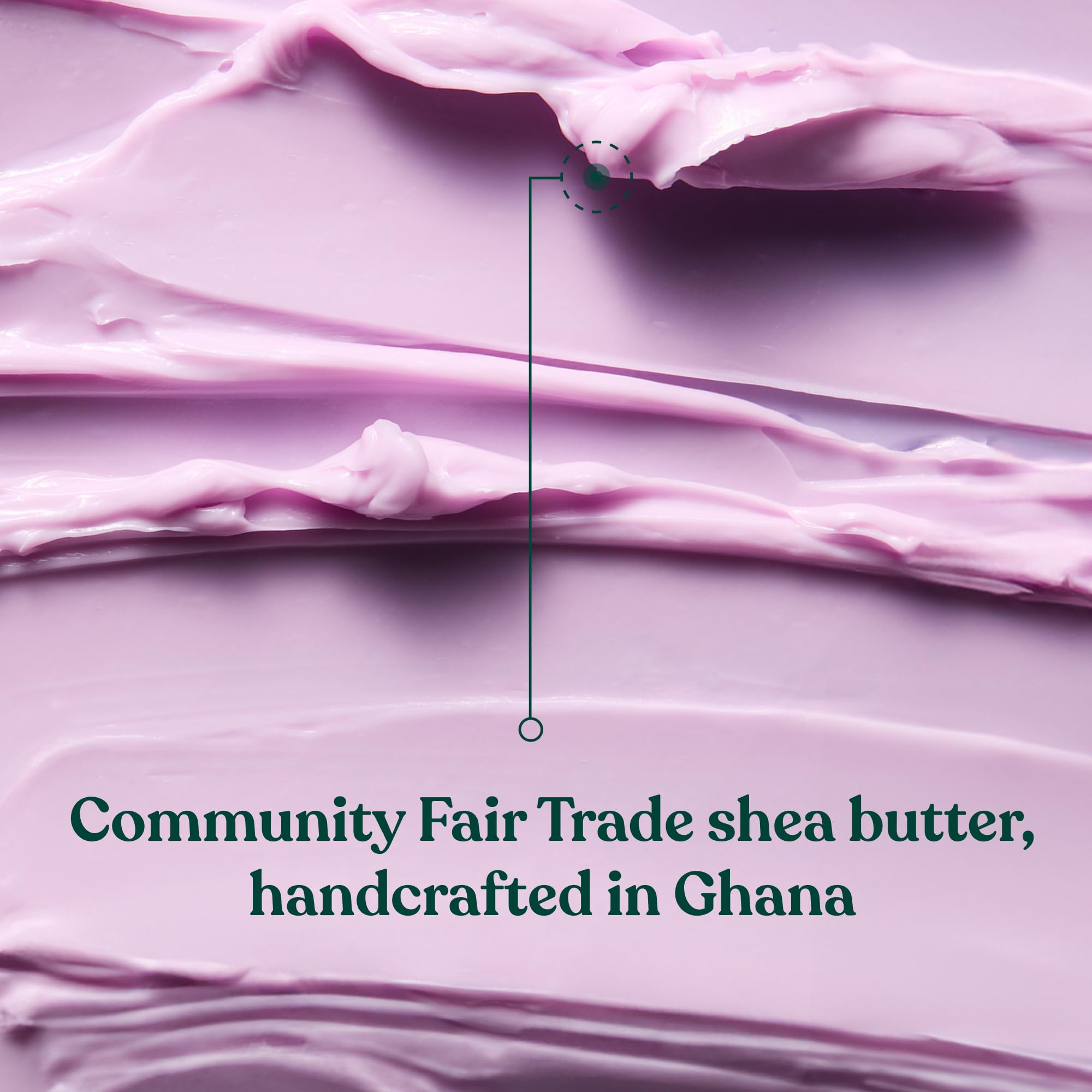 Close-up of shea butter ingredient with The Body Shop branding highlighting nourishing moisturising benefits