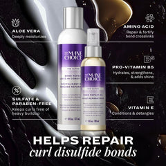 The Mane Choice finished dry curls showcasing reduced frizz and increased shine