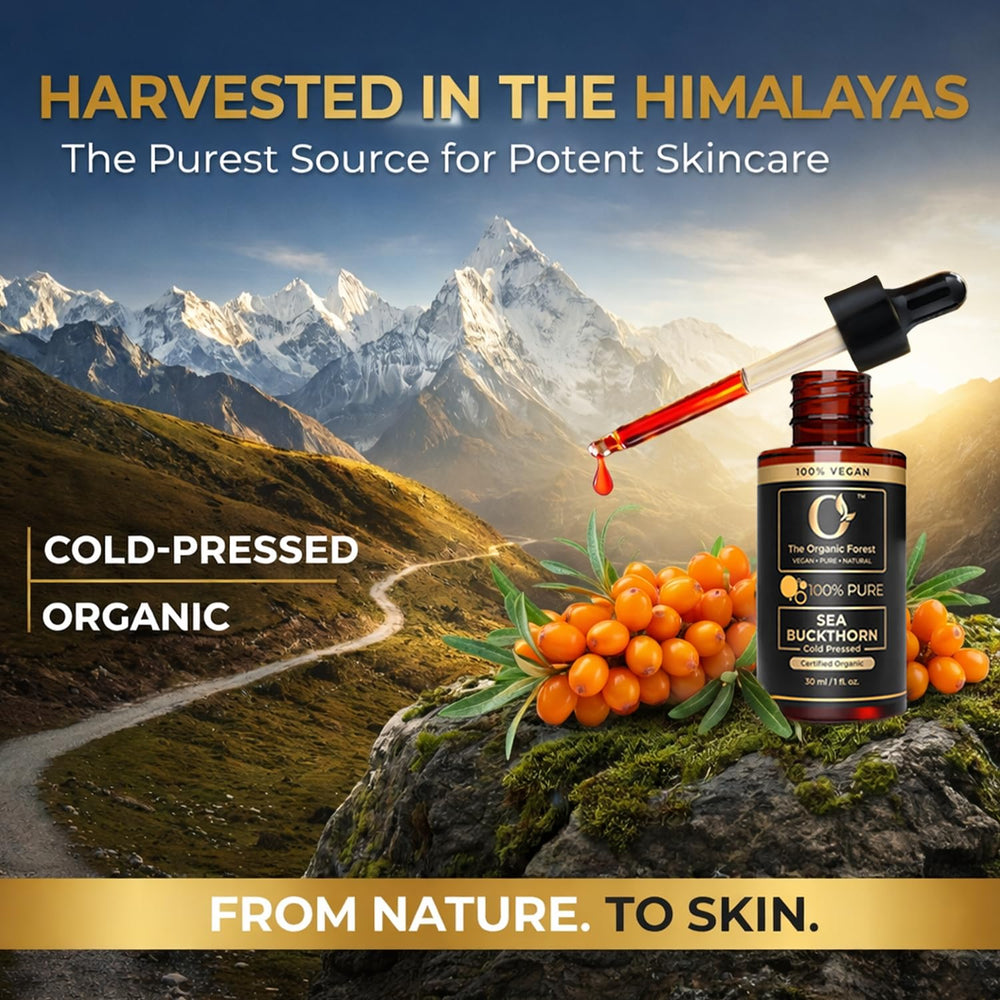 The Organic Forest sea buckthorn applied to hair ends demonstrating conditioning and shine benefit