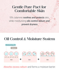 THESAEM before and after T-zone, highlights reduced shine and minimized pores