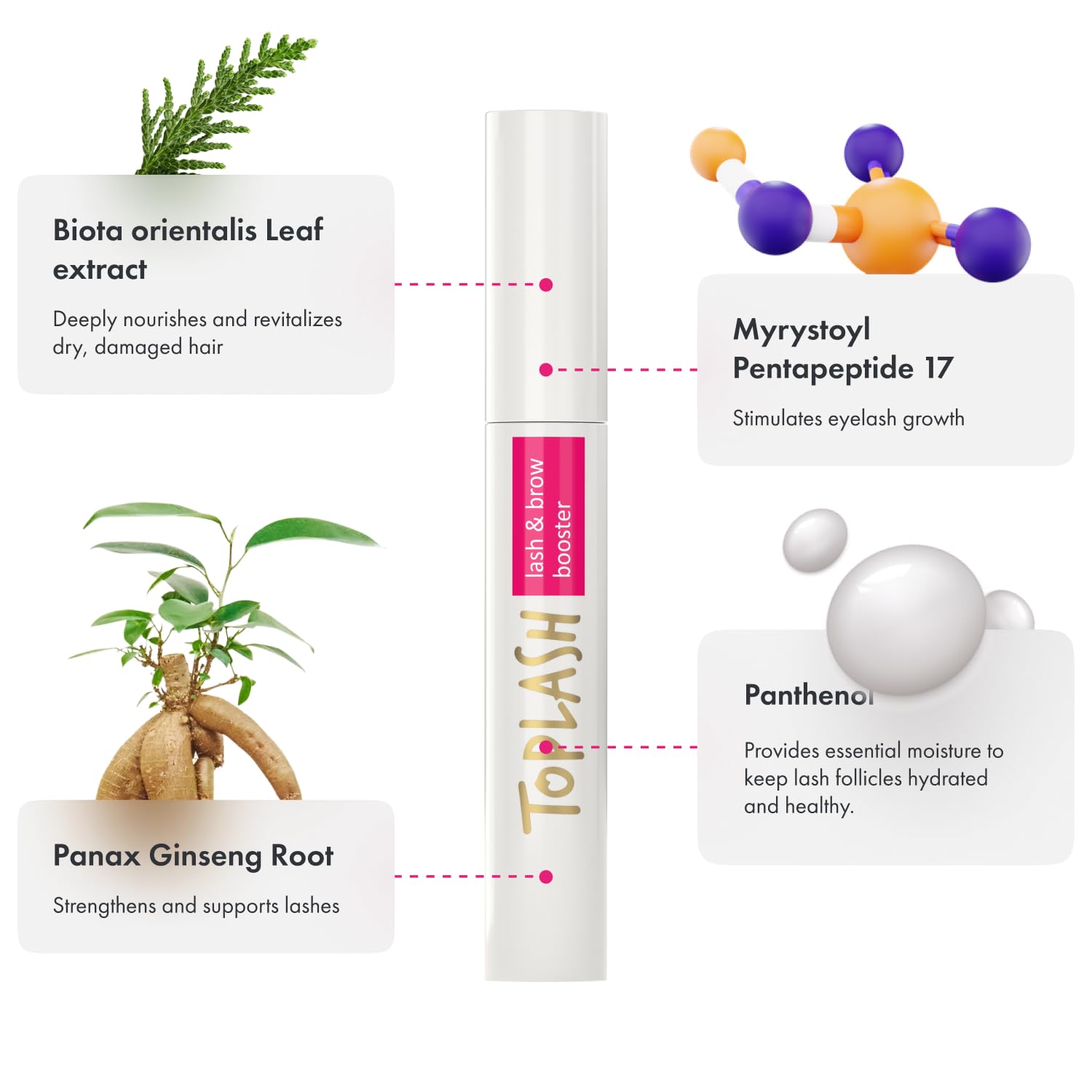 Toplash brow application demo showing natural shaping and strengthening effect