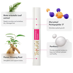 Toplash brow application demo showing natural shaping and strengthening effect