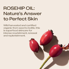 Applying Trilogy rosehip oil to skin texture to improve softness and visible smoothness