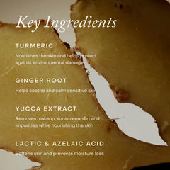 True Botanicals turmeric and ginger roots staged to highlight calming botanical benefits