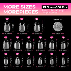 UNA GELLA scale comparison with coin showing short oval length and real-world scale