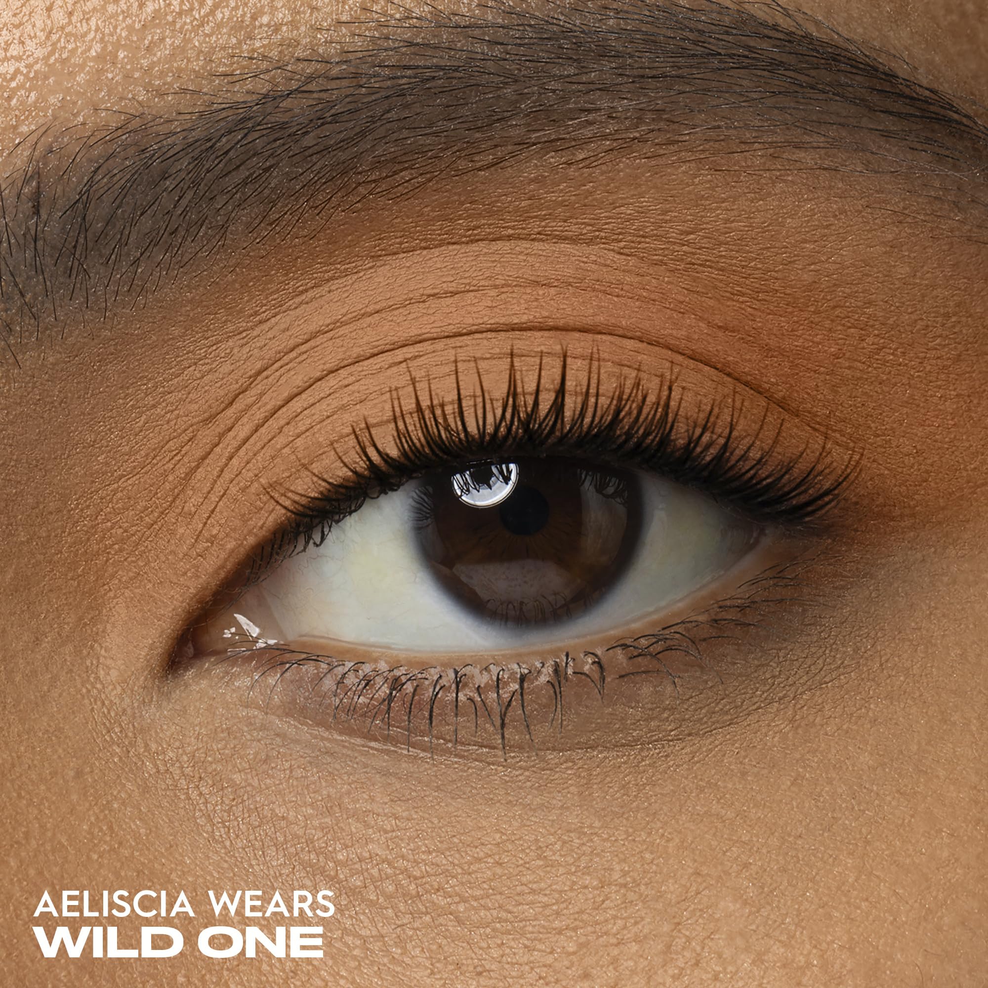Urban Decay Wild One powder texture close-up revealing creamy matte finish and smooth blendability