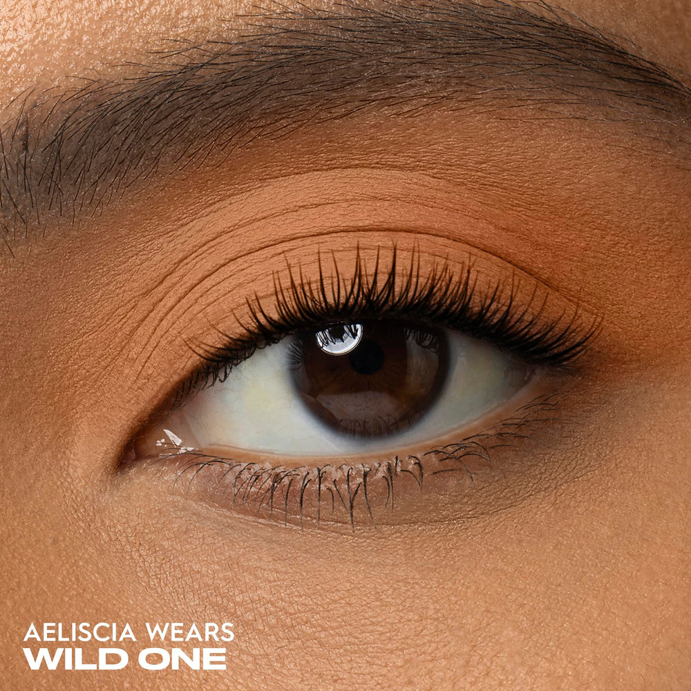Urban Decay Wild One powder texture close-up revealing creamy matte finish and smooth blendability