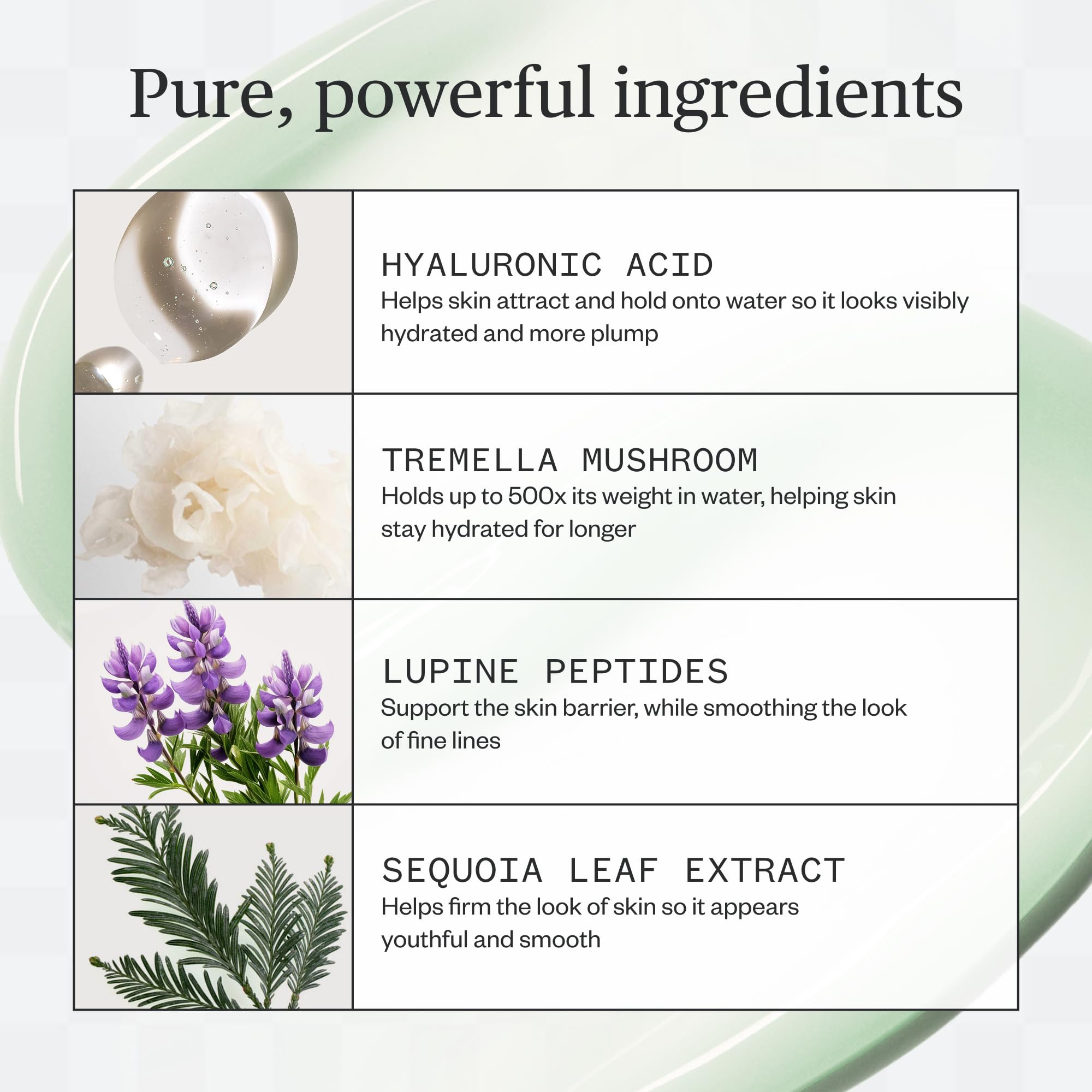 Ursa Major pump detail highlighting easy dispensing and no waste