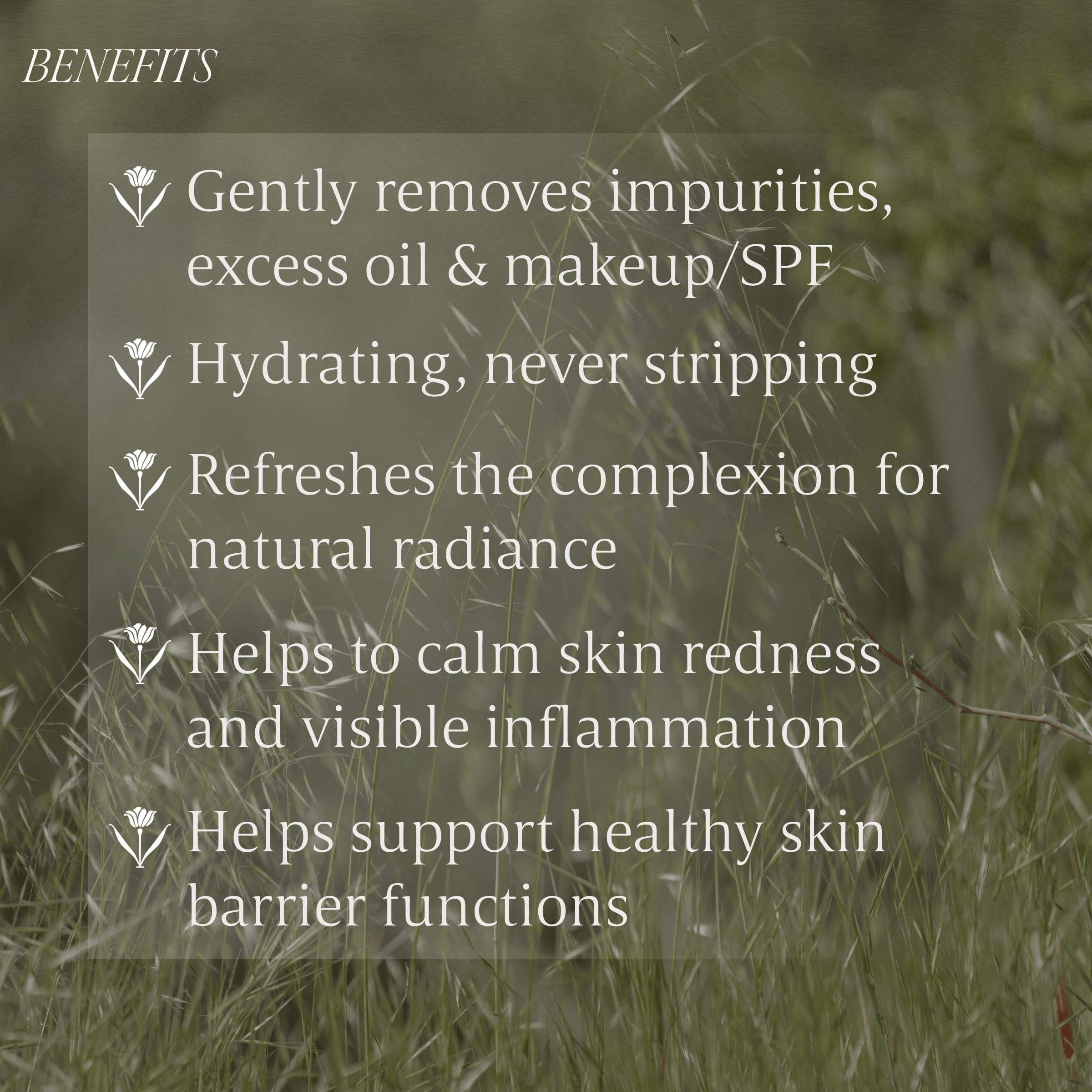 Verli lather on hand illustrating soft foam and non-stripping cleansing benefit