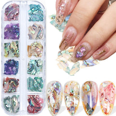 Vezocim 12-grid packaging showing organized abalone shell slices and quick selection benefit