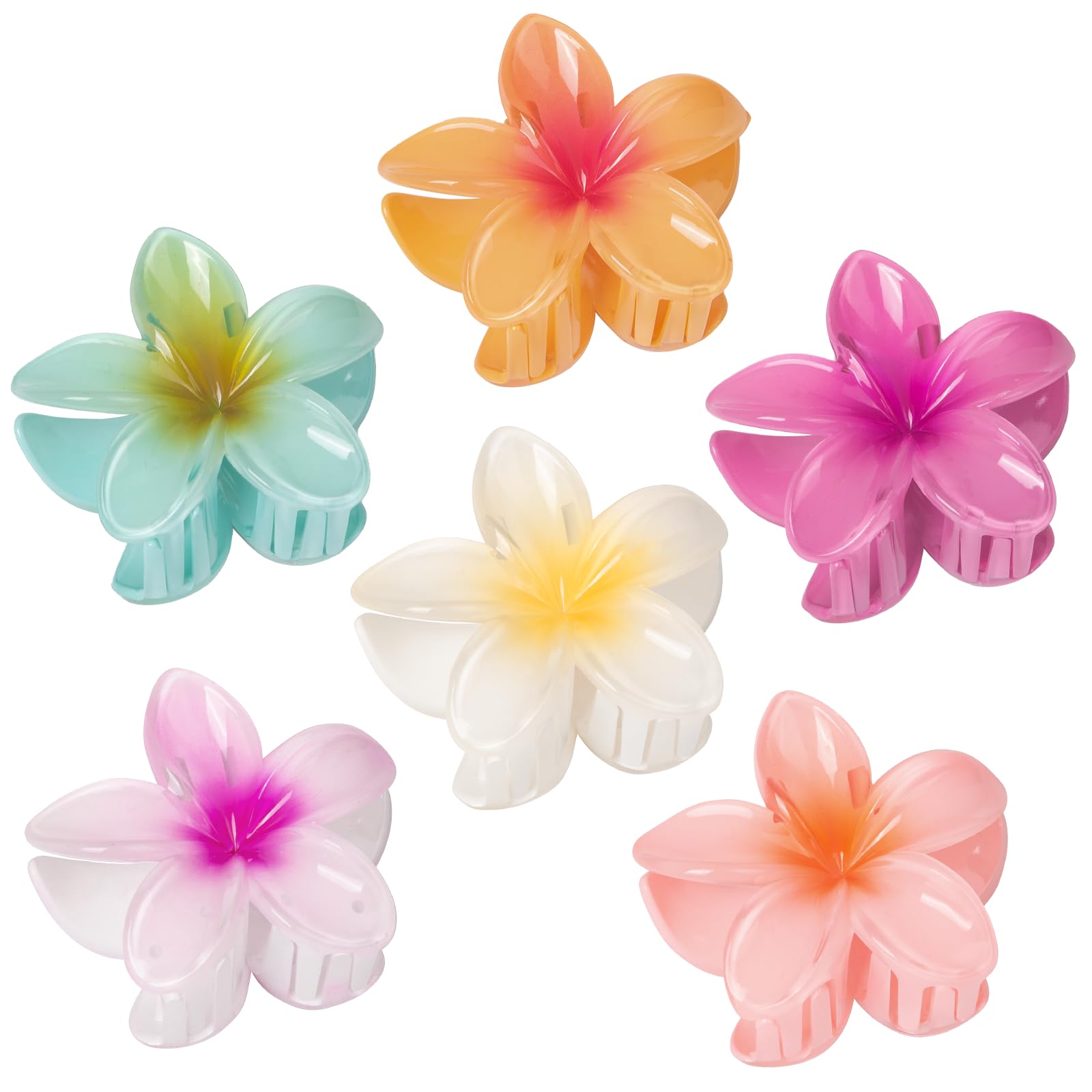 Vigorpace front display showing six colorful hibiscus clips for playful styling