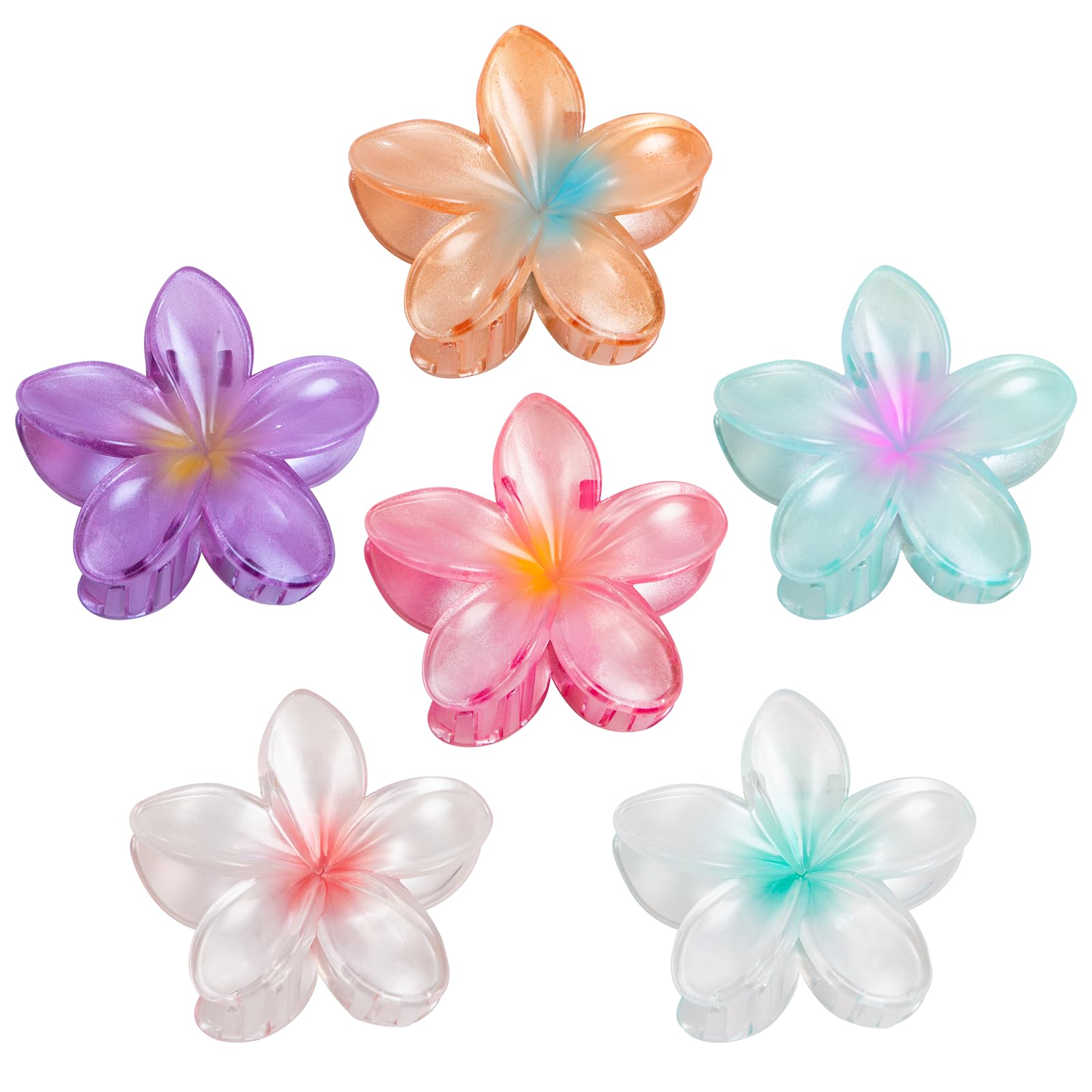 Vigorpace front packaging showing six colorful hibiscus clips for easy outfit matching