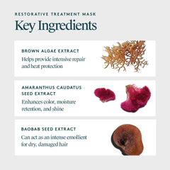 VIRTUE keratin and baobab seed visual emphasizing nourishing ingredients for stronger hair