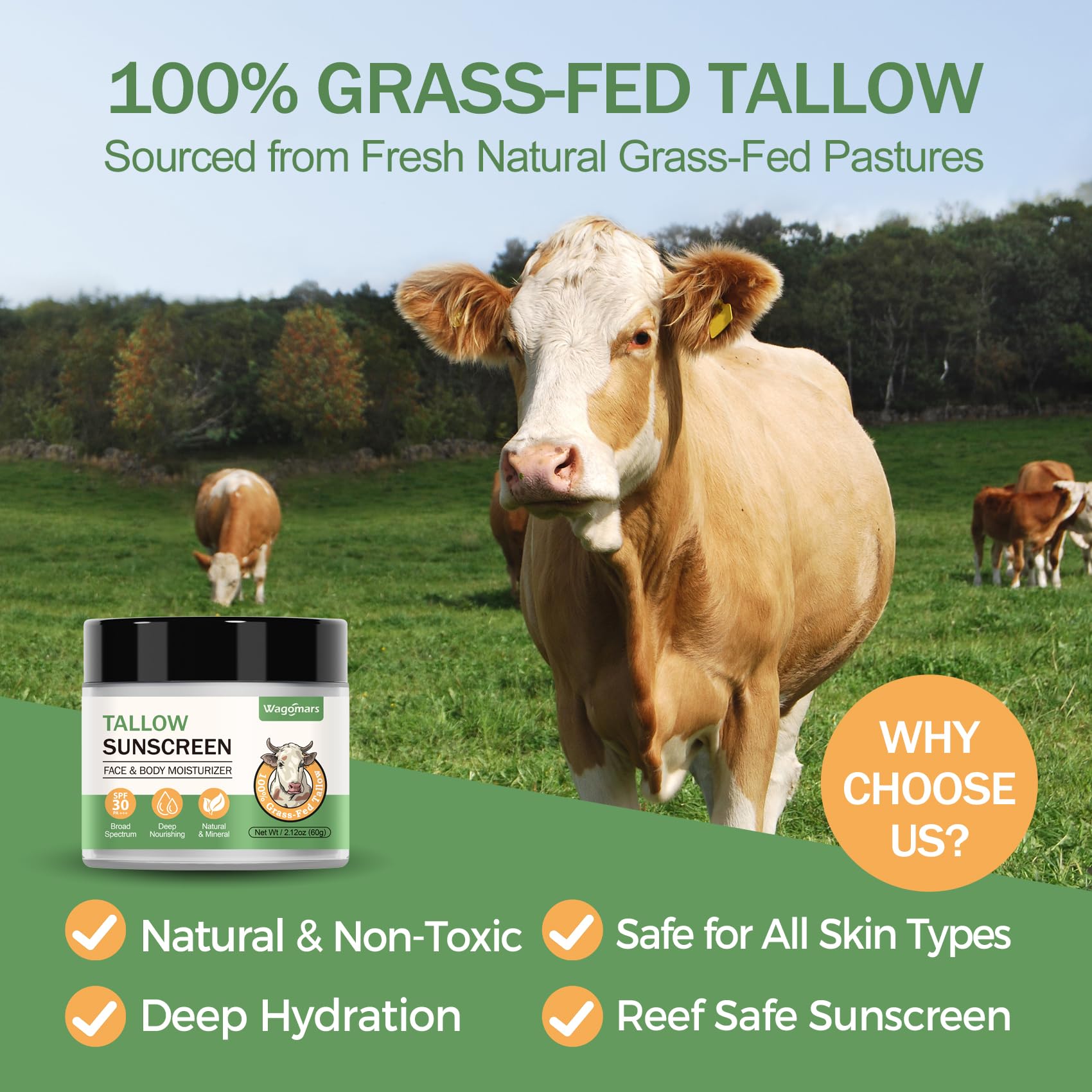 Grass-fed beef tallow ingredient jar highlighting moisturizing benefits