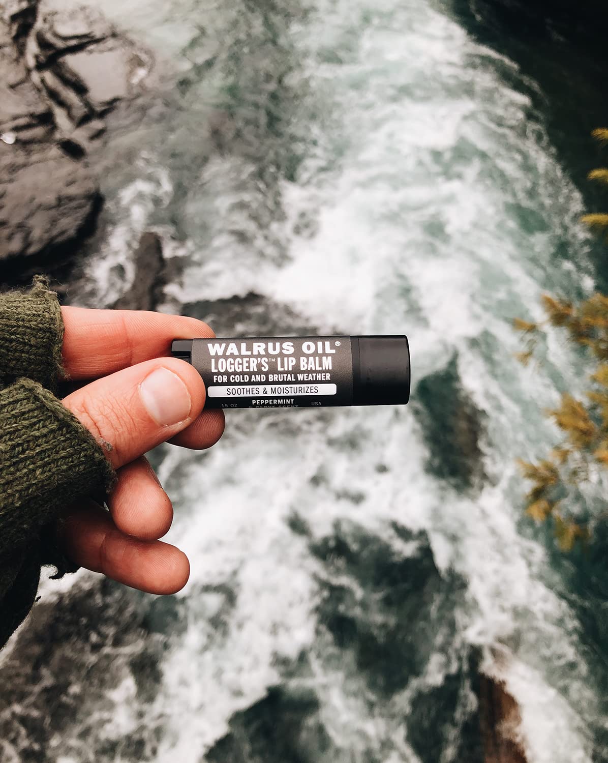 Walrus Oil Logger's Lip Balm open tube texture showing smooth balm for quick absorption benefit
