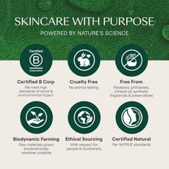 Weleda Calendula cream on a caregiver palm demonstrating gentle spreadability