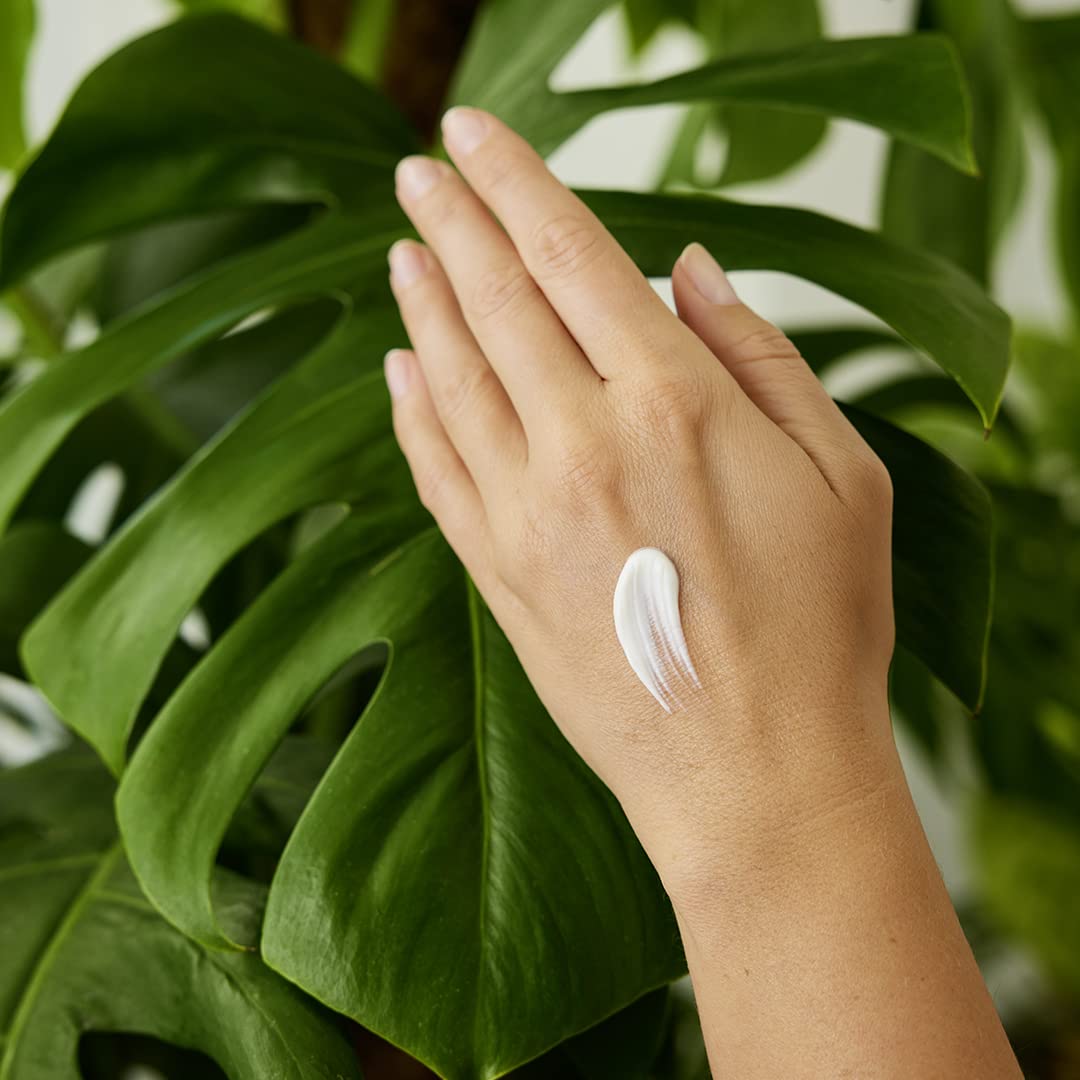 Weleda Sea Buckthorn ingredients close-up emphasizing certified natural formula