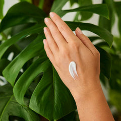 Weleda Sea Buckthorn ingredients close-up emphasizing certified natural formula