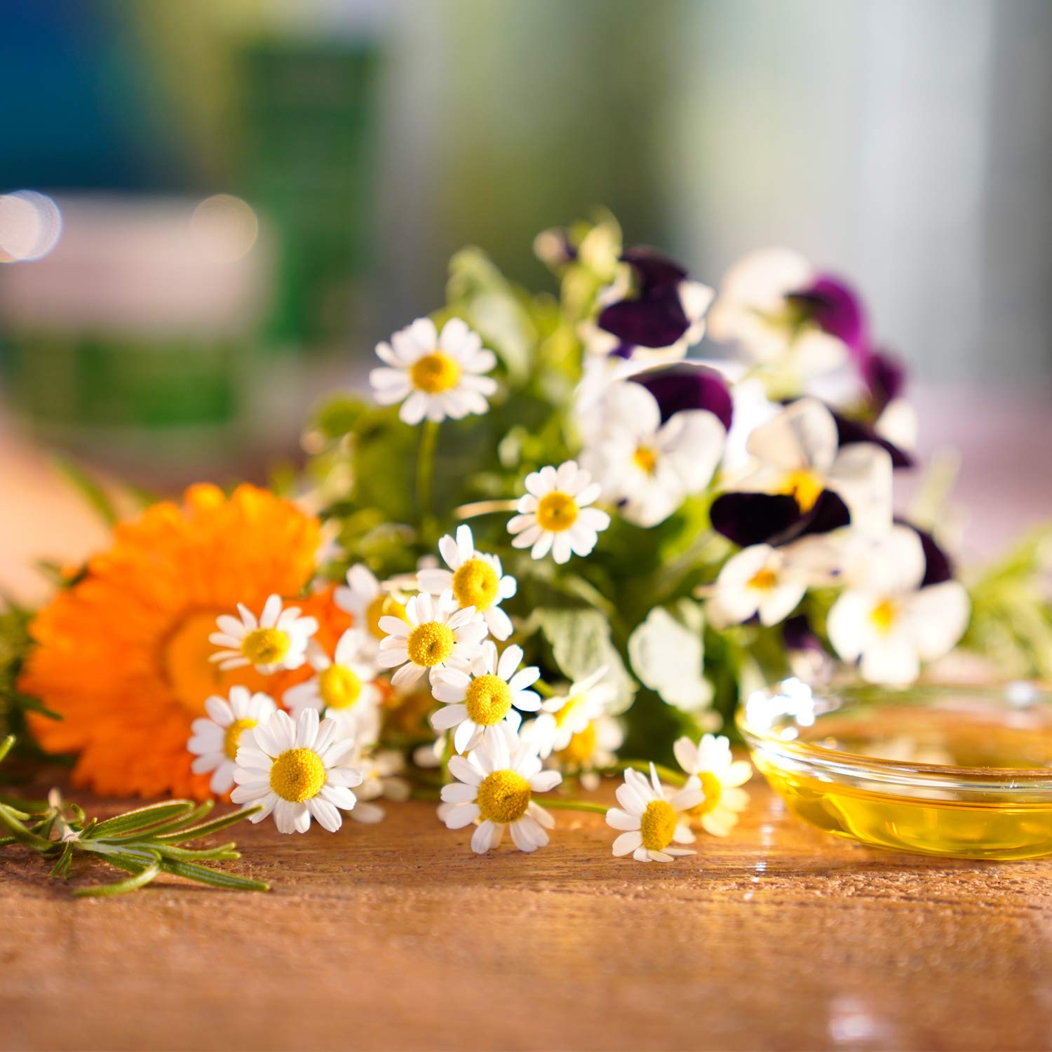 Weleda Skin Food botanicals and oils near jar highlighting natural ingredients
