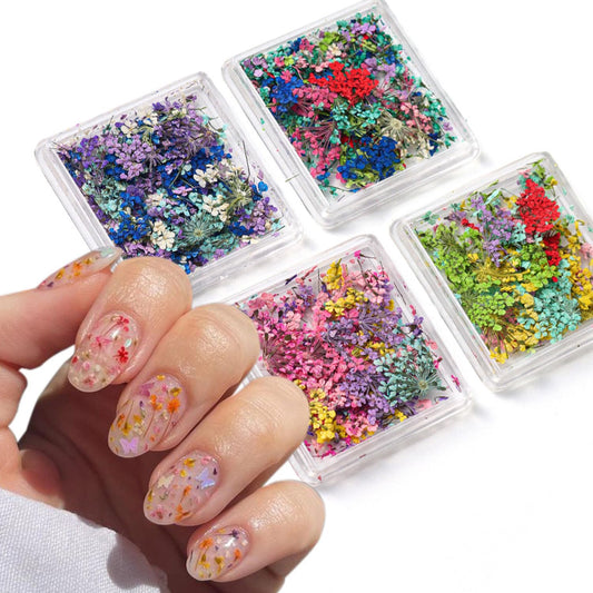 WOKOTO front packaging showing four clear boxes and colorful dried flowers for easy selection