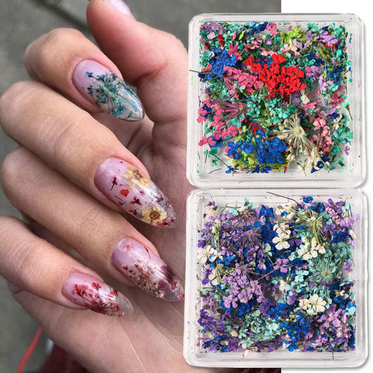 WOKOTO open boxes top view revealing assorted tiny dried flowers for diverse nail designs
