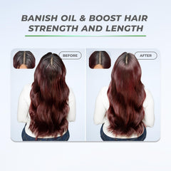 XMONDO saw palmetto ingredient display conveying scalp-supporting benefits