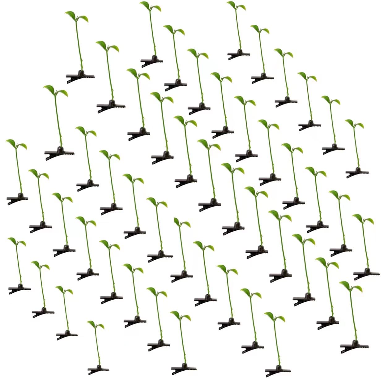 Xtzggys front packaging showing 50 green bean sprout clips, playful accessory