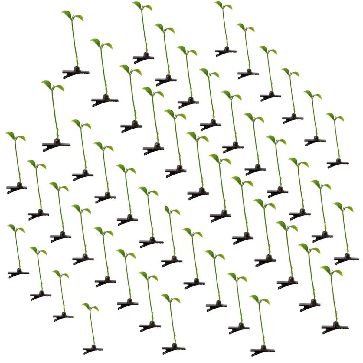Xtzggys front packaging showing 50 green bean sprout clips, playful accessory